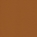 Caramel Brown Leather 1