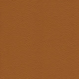 Caramel Brown Leather 1